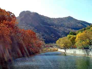 澳门二四六天天彩图库，医药压片机